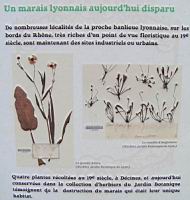 09 - Destruction des habitats - des temoins en herbier (1).jpg